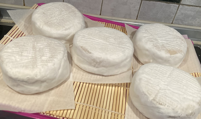 Vegan camembert wheels